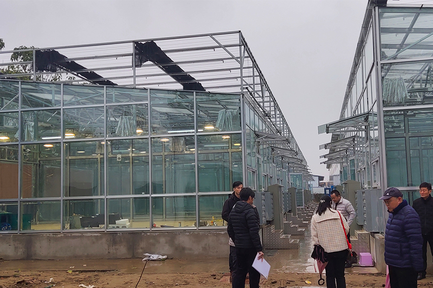 河南农业大学科研智能玻璃温室
